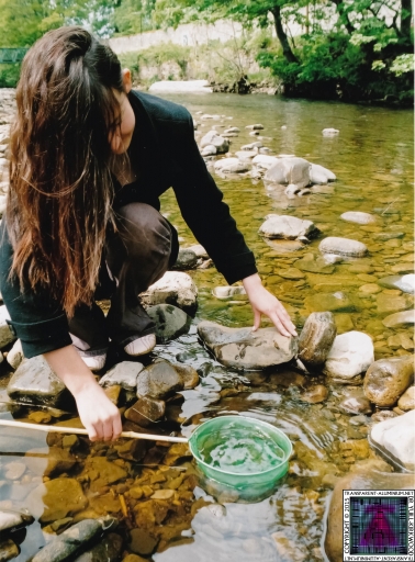 Debbie Coggins (16).jpg