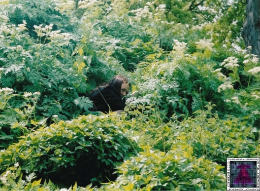 Debbie Coggins (19).jpg