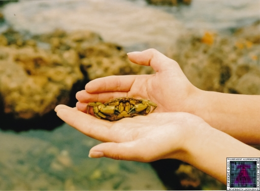 Debbie Coggins (22).jpg