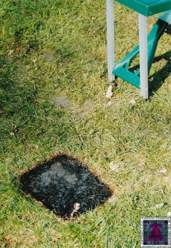 Debbie Coggins (35).jpg