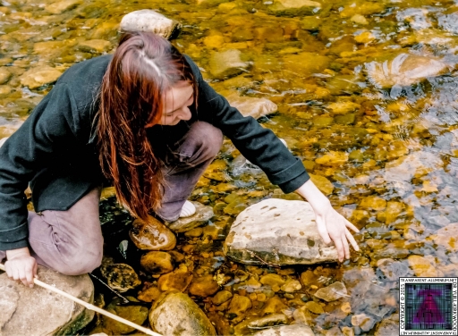 Debbie Coggins (5).jpg