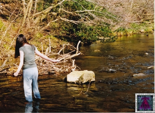 Debbie Coggins (7).jpg