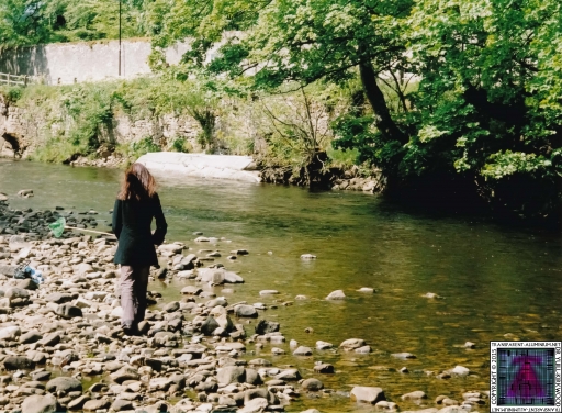 Debbie Coggins (8).jpg