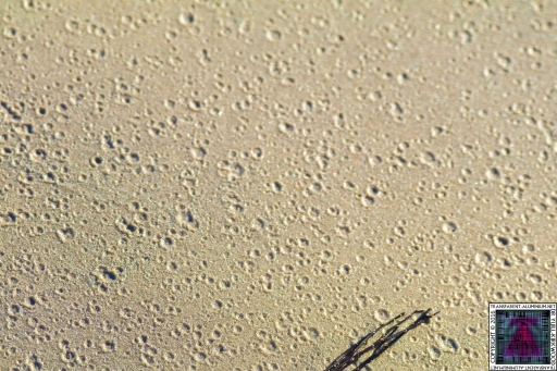 Sands of Wright Hoxa (4)
