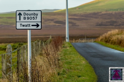 Insert Twatt Here (2)