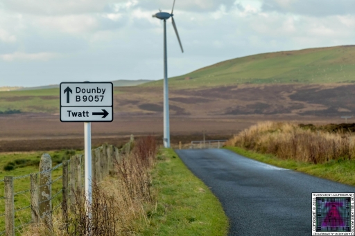 Insert Twatt Here