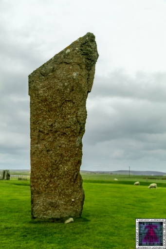 The Standing Stones Of Stenness (6)