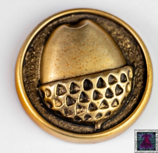Acorn Button
