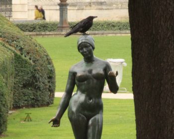 Paris – Jardin Des Tuileries