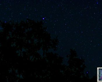 The Stars From My Window