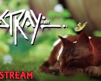Stray Cat Must Untangle An Ancient Mystery in Stray